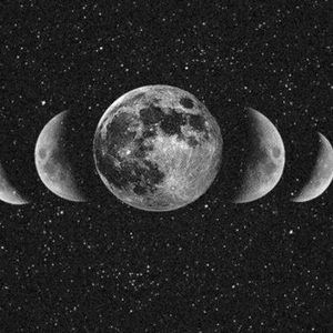 Meet your Posher, Delores